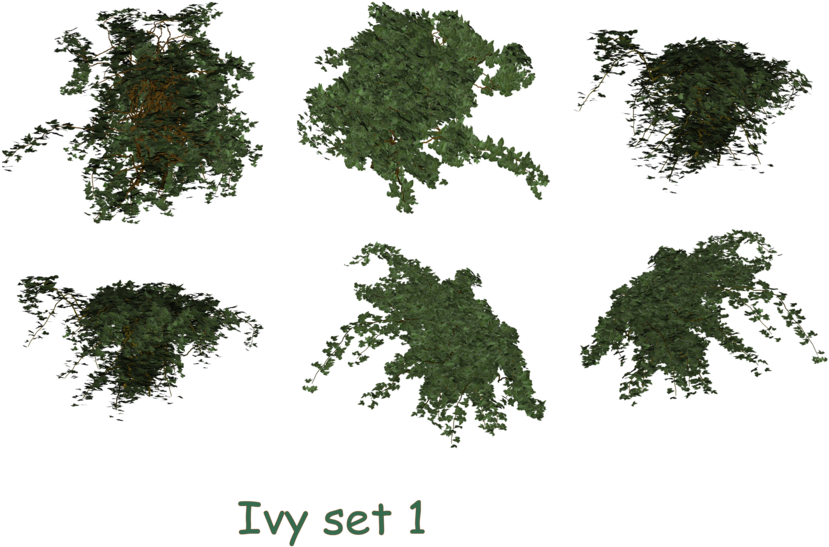 Excellent Cutout Top View Flowers Ivy Set Png Stock - Ivy (900x584)