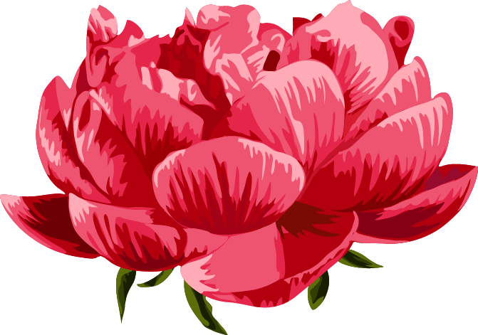 20th Dec - Chinese Peony (671x471)