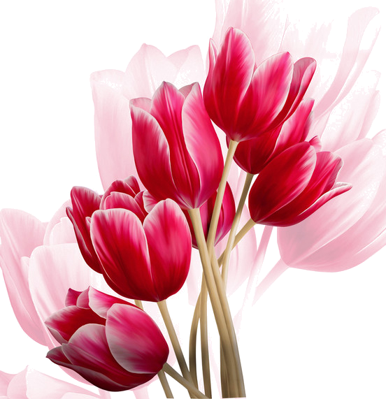 Lukisan Tulip (552x571)