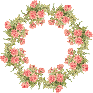 Flower Frame Png Transparent (360x360)