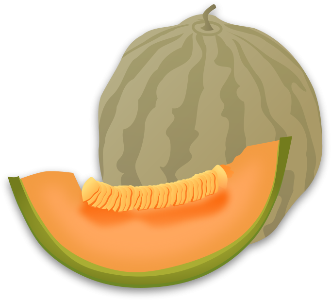 Honey Clip Art Download - Musk Melon Clipart (800x785)