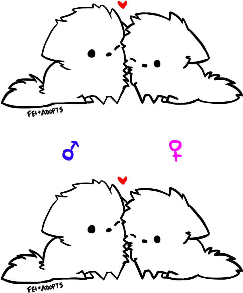 Free Chibi Furry Couple Base By Fei-adopts - Chibi Animal Couple Base (1024x1024)