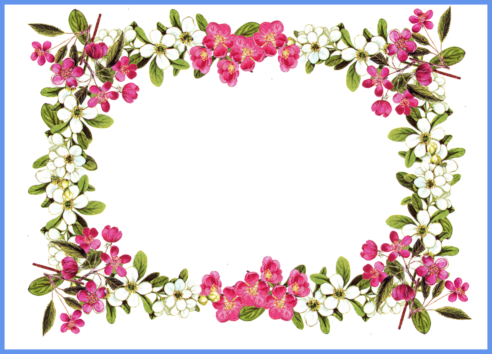Marvelous Printable Clip Art Borders Digital Flower - Flower Frame Png (1630x1173)