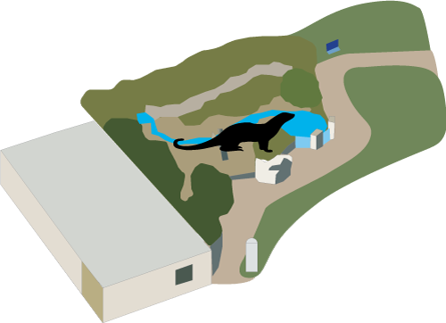 Otter Creek - Buffalo Zoo (500x362)