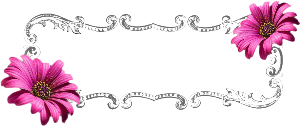 Floral Banner Png By Life As Me On Deviantart - Floral Banner (1240x588)