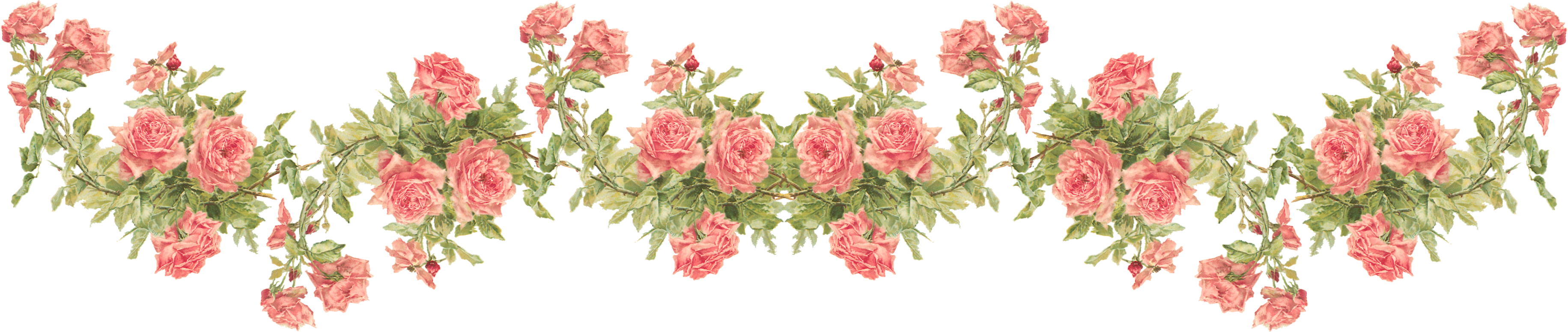 Catherine Klein Peach Roses - Rose Border Transparent Background (3662x775)
