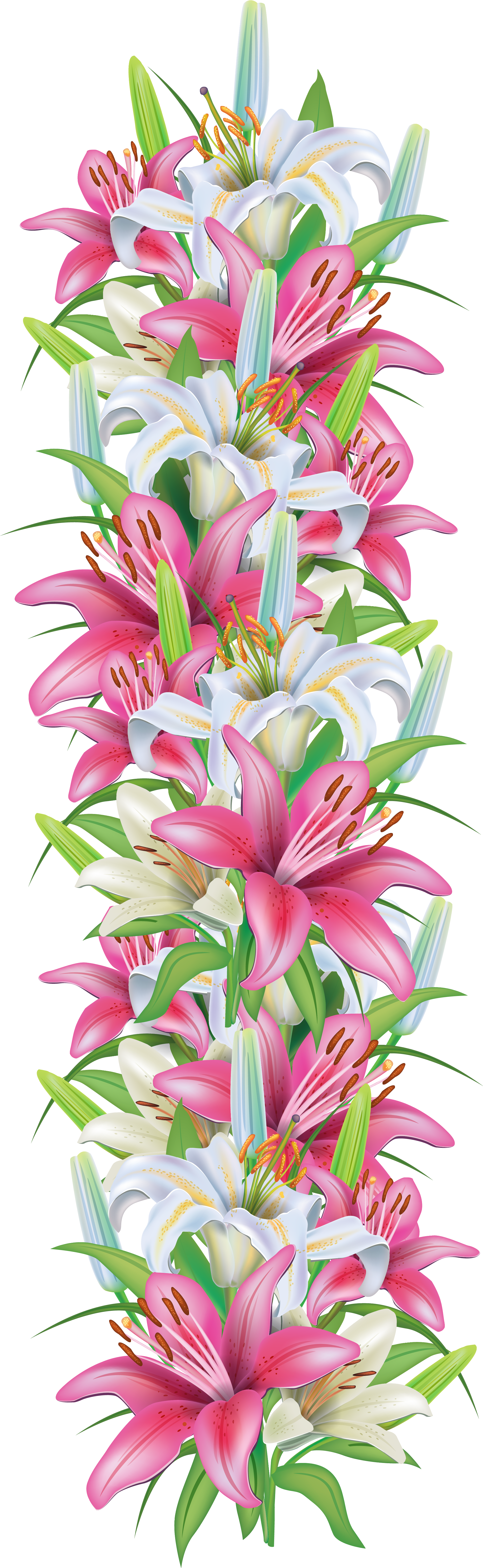 Pink And White Lilies Decoration Border Png Clipart - Bansuansukdee Paper For Decoupage Vintage Style And (2049x6334)