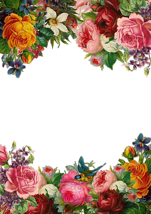Flowers Borders Png 28, - Stolz Und Vorurteil [book] (509x720)