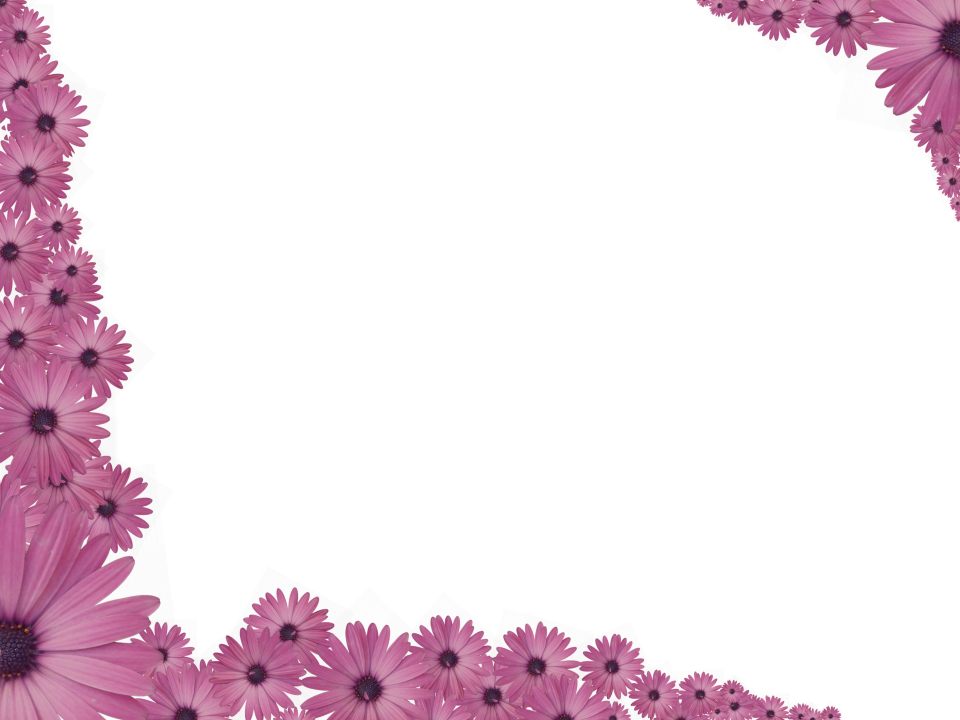 Bright Floral Corner Border In Pink Color Rectangular Flower Border Transparent Background 960x720 Png Clipart Download