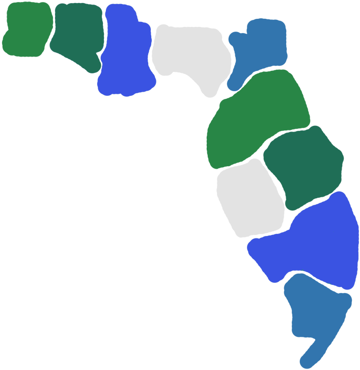 West Florida East Florida Spanish Florida T - West Florida East Florida Spanish Florida T (800x800)