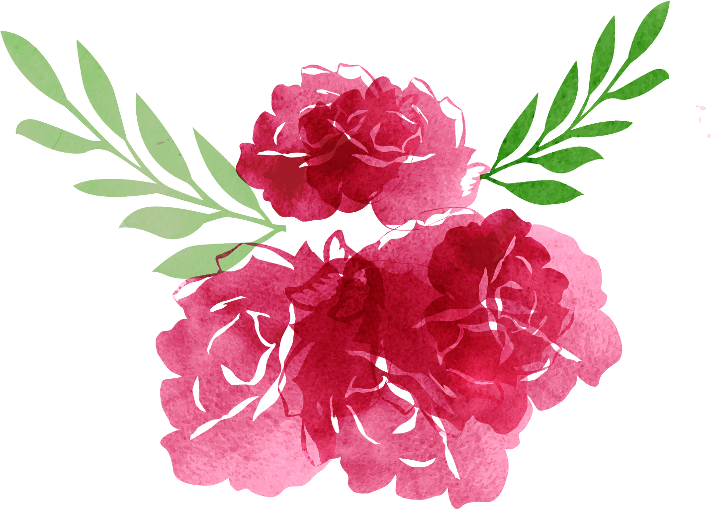Garden Roses Flower - Transparent Flower Decorations (1500x1501)