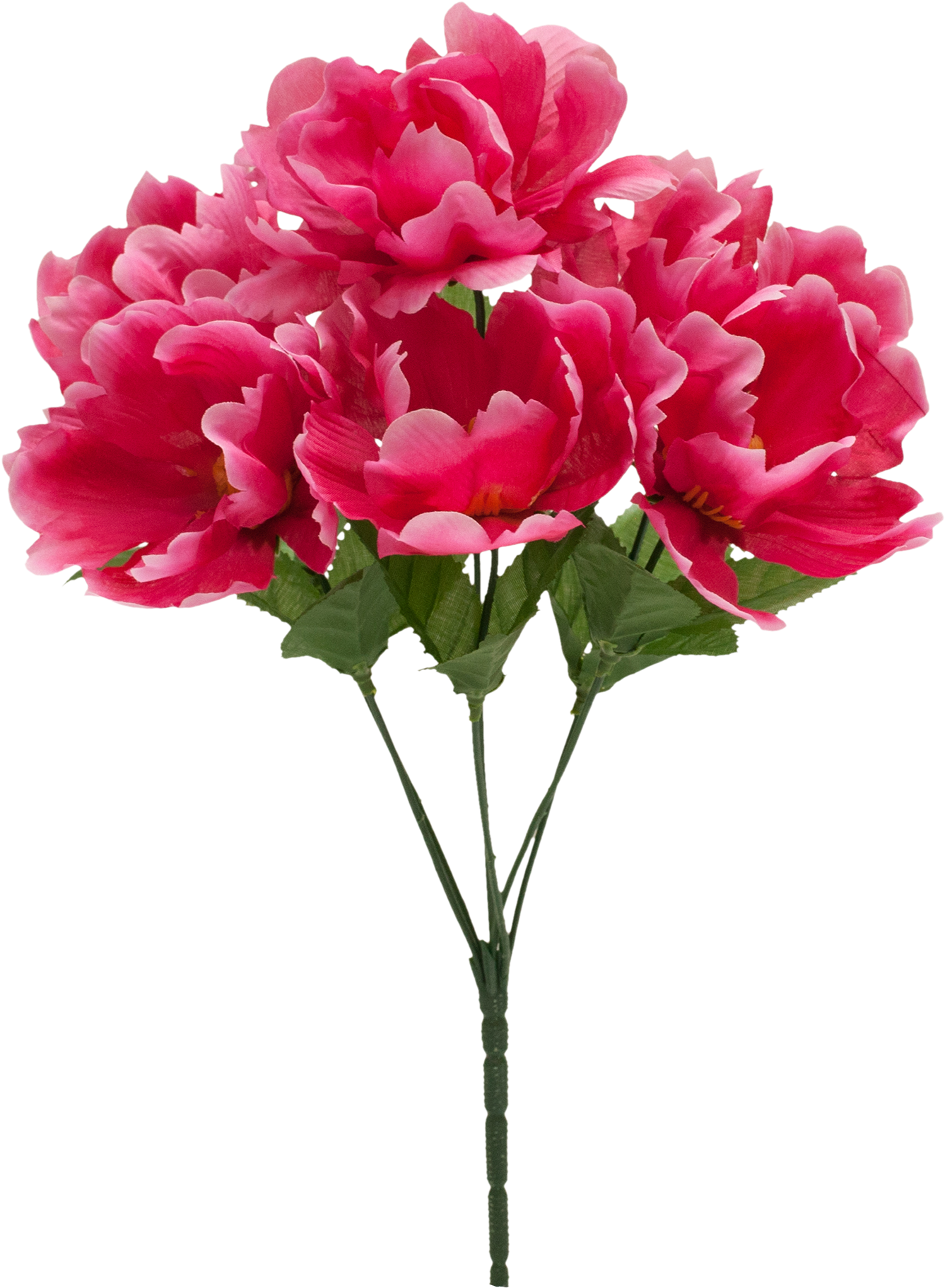 Teters Floral Pink Peony Pick (2000x2000)