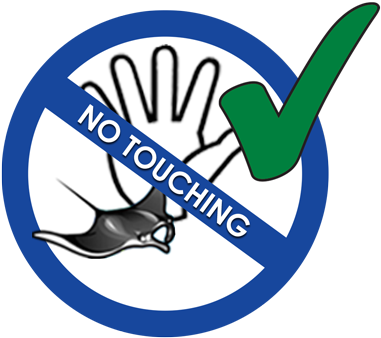 Criteria - Criteria (400x343)