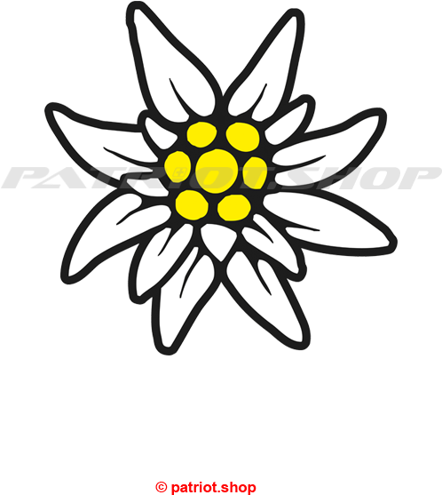 Das Geliebte Edelweiss Ist Eine Der Bekanntesten Und - Womaninfashion Domelo Tracht Crossbody Bag Shoulder (550x700)