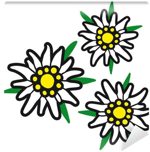 Alpenblumen / Edelweiß / Edelweiss Wall Mural • Pixers® - Trachten Schnuller Mit Namen (rosa) (400x400)