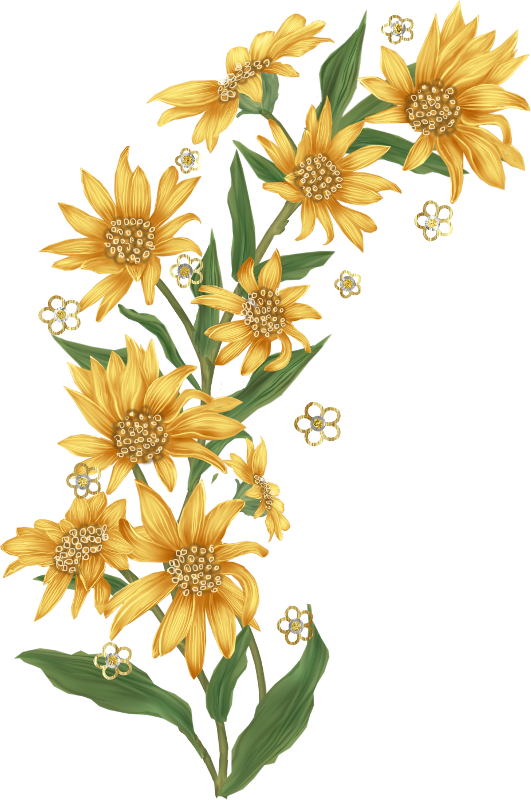 Flower Paper Clip Art - Flower Paper Clip Art (531x800)