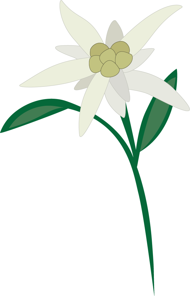 Edelweiss By Youcancallmebravo Edelweiss By Youcancallmebravo - Edelweiss By Youcancallmebravo Edelweiss By Youcancallmebravo (647x1010)