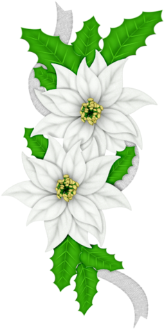 Fm Christmas Melodies Element 18 - Merry Christmas- Christmas, Holiday, Poinsettia Card (265x500)