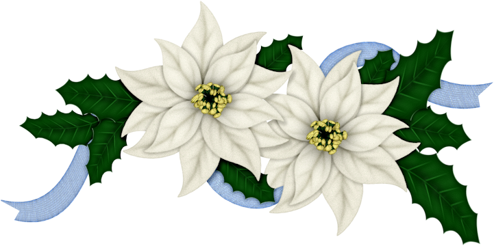 Flowers Of Christmas In Blue Clip Art - Happy Holidays- Christmas, Holiday, Poinsettia Card (762x404)