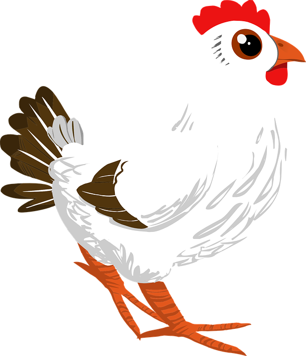 Rooster, Cock, Poultry, Cockerel, Chicken, Animal, - Cartoon White And Brown Rooster Mugs (618x720)