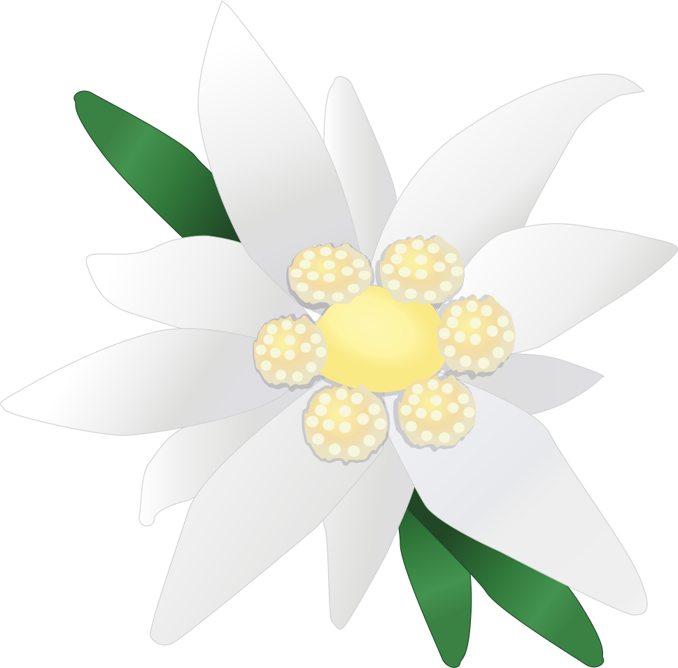 Дата - 07 - 03 - 2017 - Час - 15 - 00 - Място - Конферентна - Allgäu (969x955)