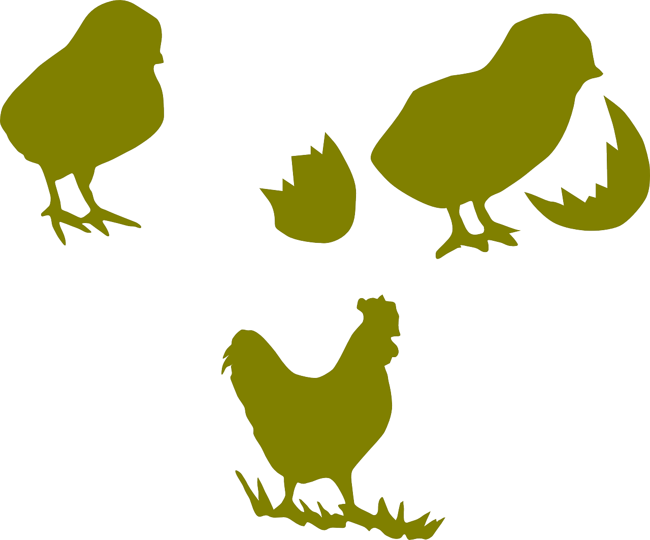Chicken Cock Poultry Hen Png Image - Outline Chickens Clipart Png (1280x1063)