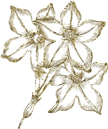 Number Of Comments - Drawing (432x481)