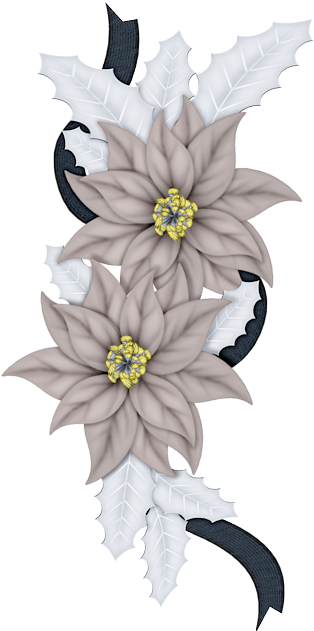 Poinsettia (353x667)