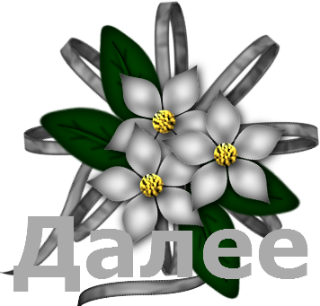 5369832 0jjjdl - Tagetes Patula (356x341)