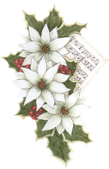 Christmas Clipart - Flannel Flower (440x668)