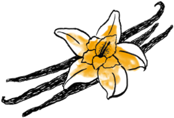 Site - Vanilla - Vanilla (465x480)