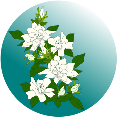 梔子の花 - Tōrin-in (450x450)