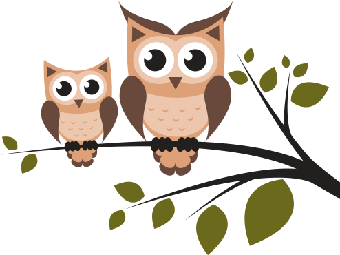 Back Open After May Half Term - Brown Owl Duo Magnets (500x500)
