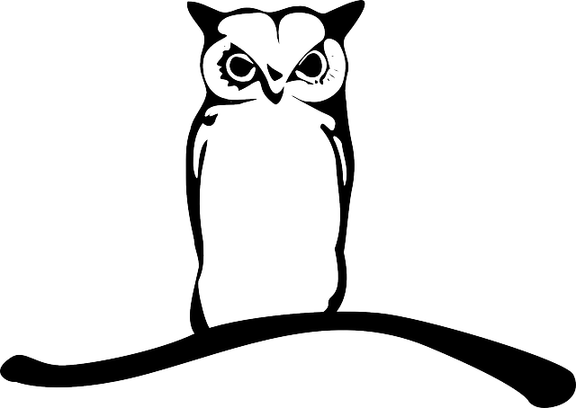 Branch Owl, Owlet, Eagle Owl, Animal, Bird, Twig, Branch - Vector Burung Hantu (640x454)