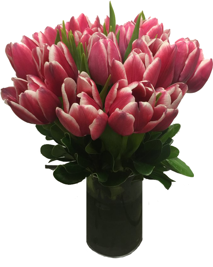 Previous - Tulip (714x919)