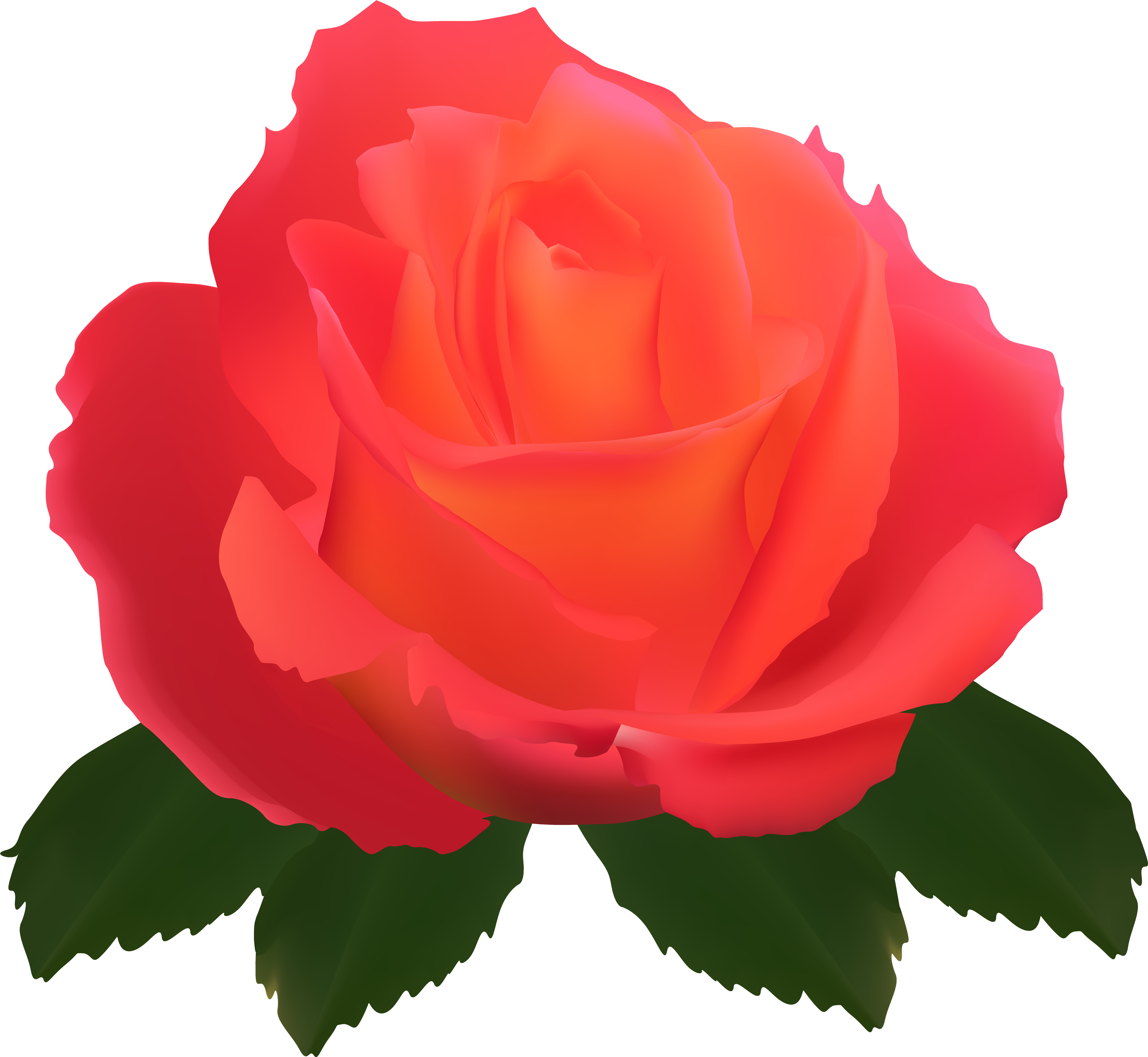 Garden Roses Centifolia Roses Flower Rose Garden - Garden Roses Centifolia Roses Flower Rose Garden (7000x6406)