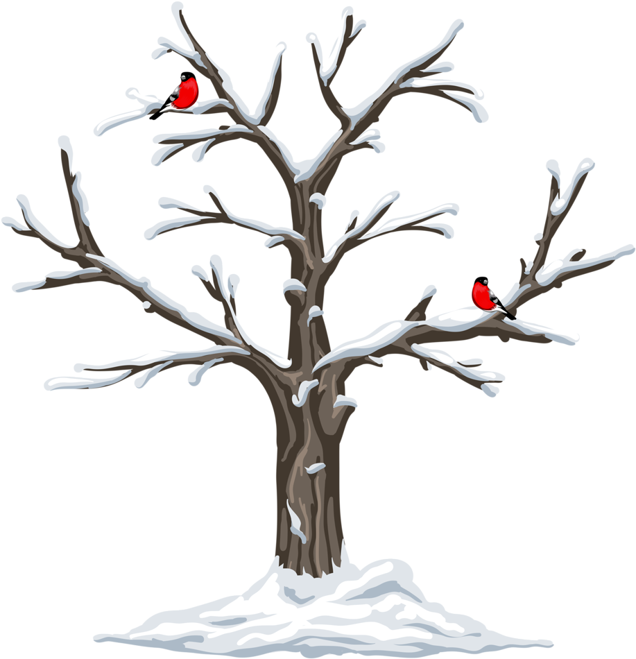 Garden Clipart, Weather Seasons, Clip Art, Christmas - Tree Four Seasons Clipart (990x1024)