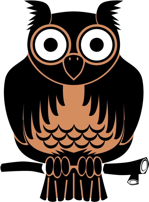 Free Owl - Custom Cartoon Owl Throw Blanket (600x800)