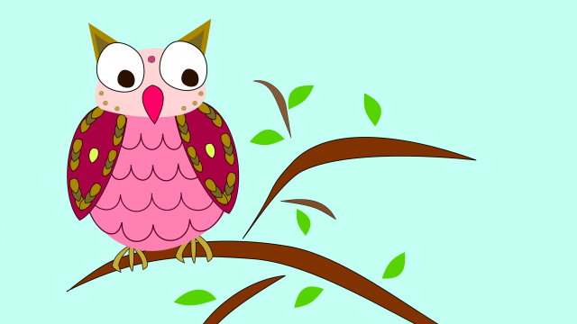 Curious Exotic Owl Is Perched Up On A Tree Branch Glancing - Owl (640x360)
