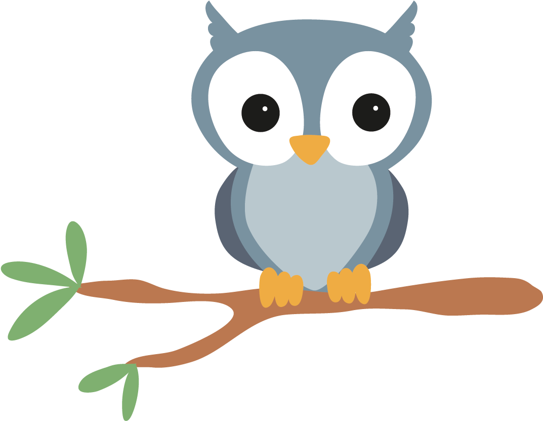 Owl Euclidean Vector - Owl Euclidean Vector (1317x1273)