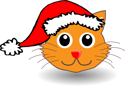 Cat, Happy, Animal, Christmas - Santa Cat Greeting Card (493x340)