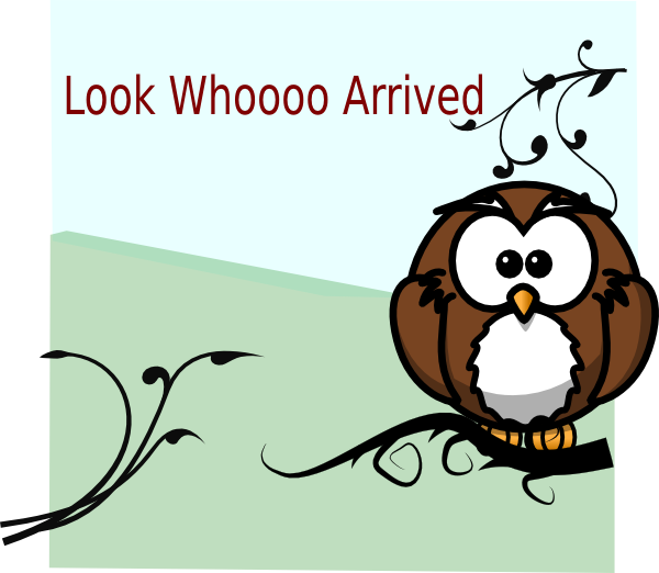 Cartoon Owl (600x522)