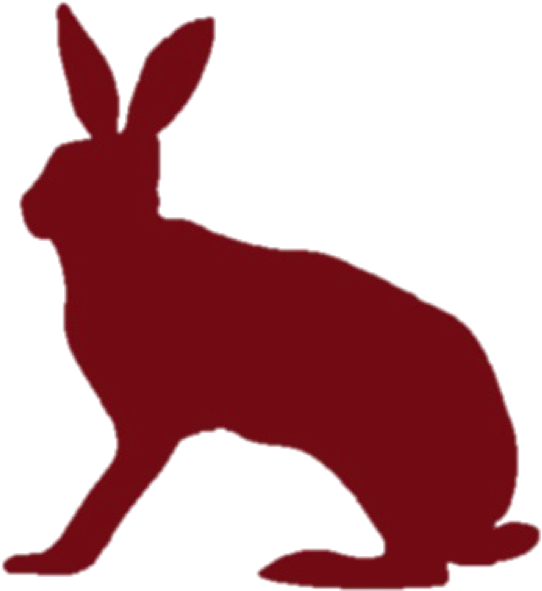 Sensitivity, Sensuality And A Love Of Esthetics And - Hare (1281x699)