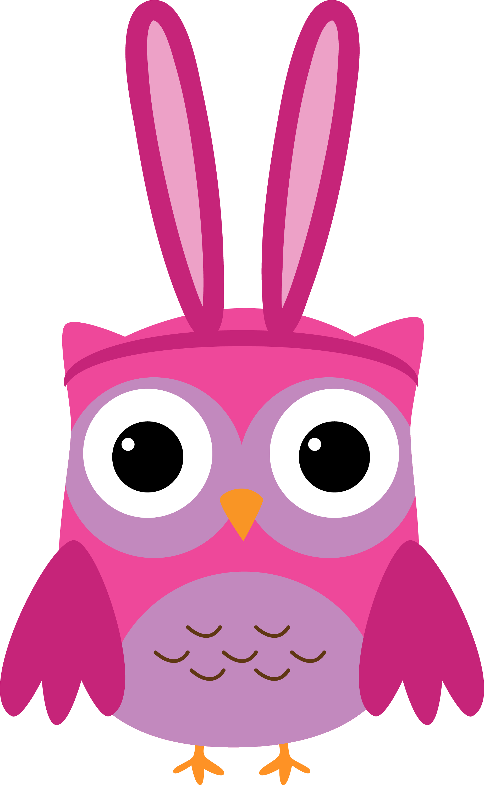 Photo By @daniellemoraesfalcao - Graduation Owl (1848x3000)