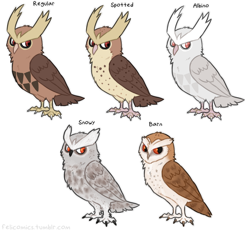1432349386998 - Noctowl Tattoo (870x814)