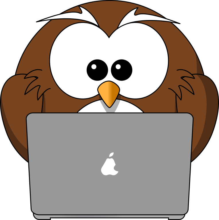 Cartoon Owl And Laptop Tim Png - Laptop Cartoon (763x768)
