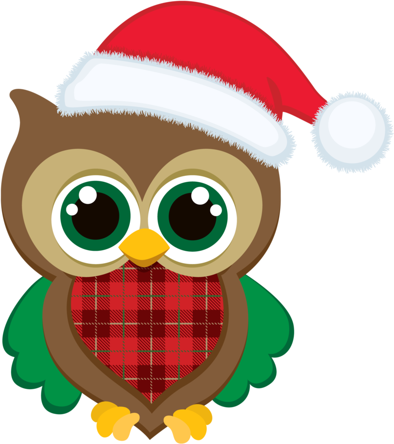 Winter Clipart - Christmas Owl Clipart (798x900)