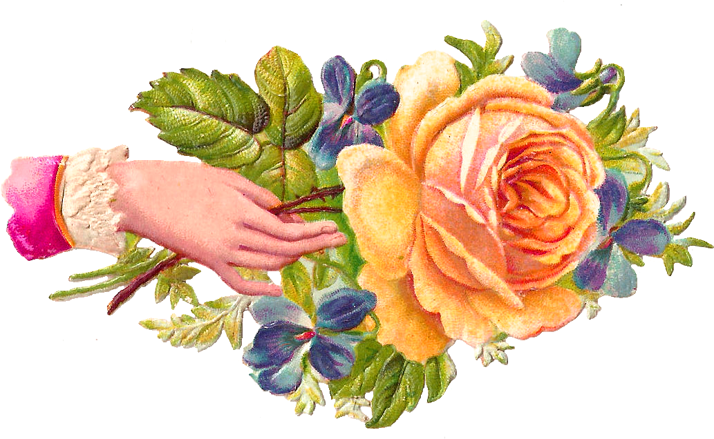 Dc9kamxoi Feedyeti - Victorian Flower Transparent (1197x751)