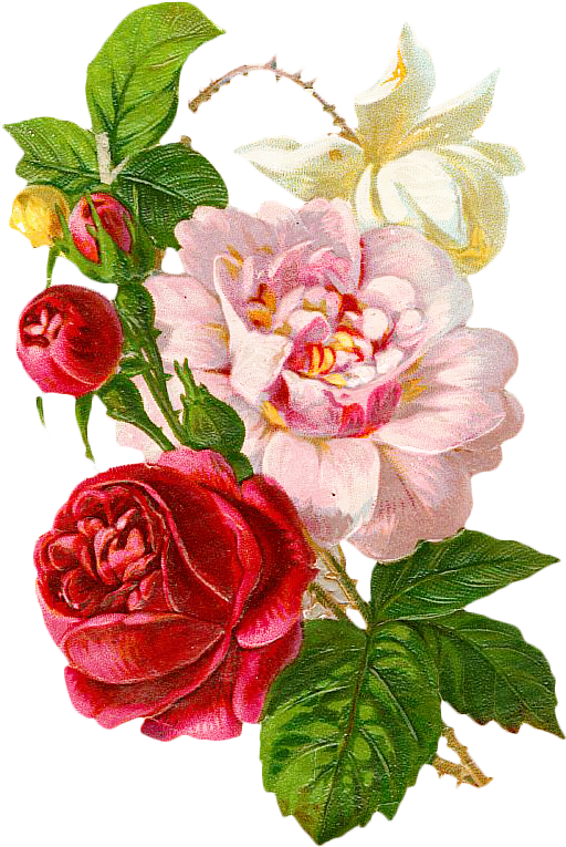 Victorian Era Flower Rose Floral Design Clip Art - Victorian Era Flower Rose Floral Design Clip Art (547x798)