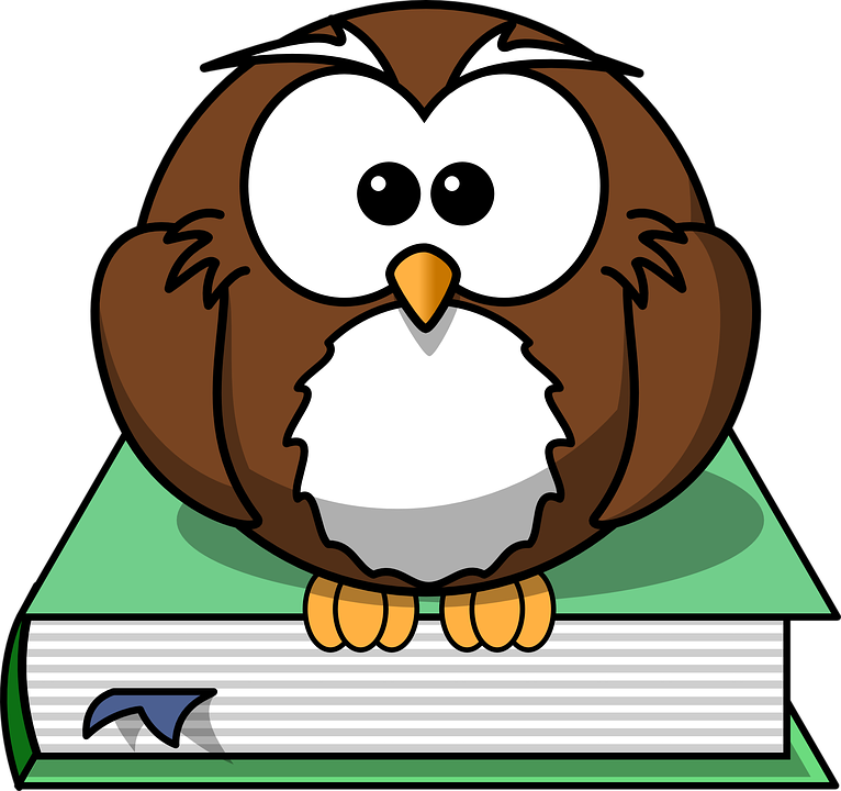 Stare Clipart Owl - Cartoon Owl (766x720)